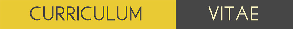 Curriculum Vitae