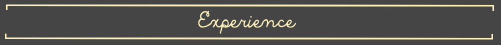 Experience